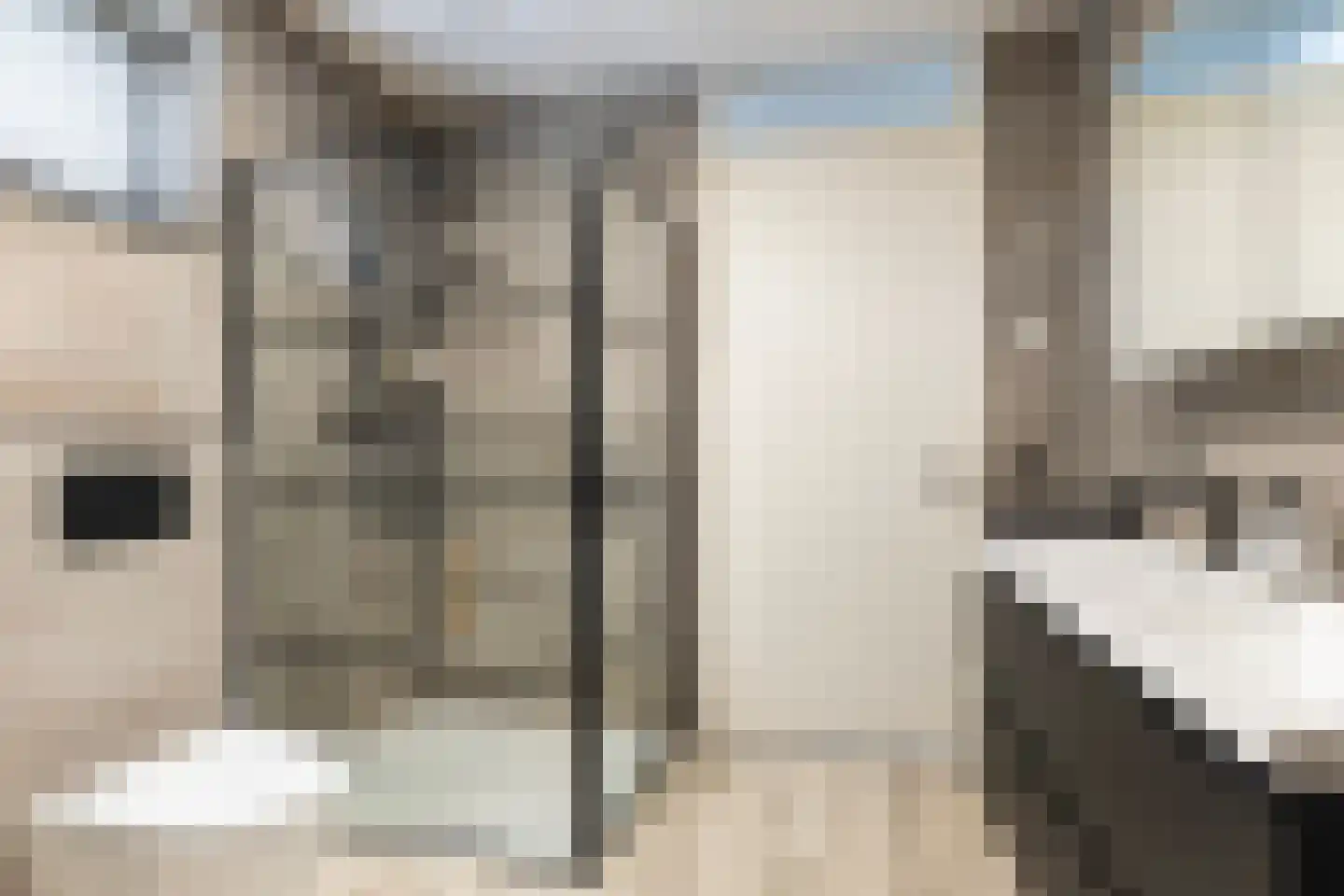 Ytsjesân 19 Leeuwarden thumbnail 35