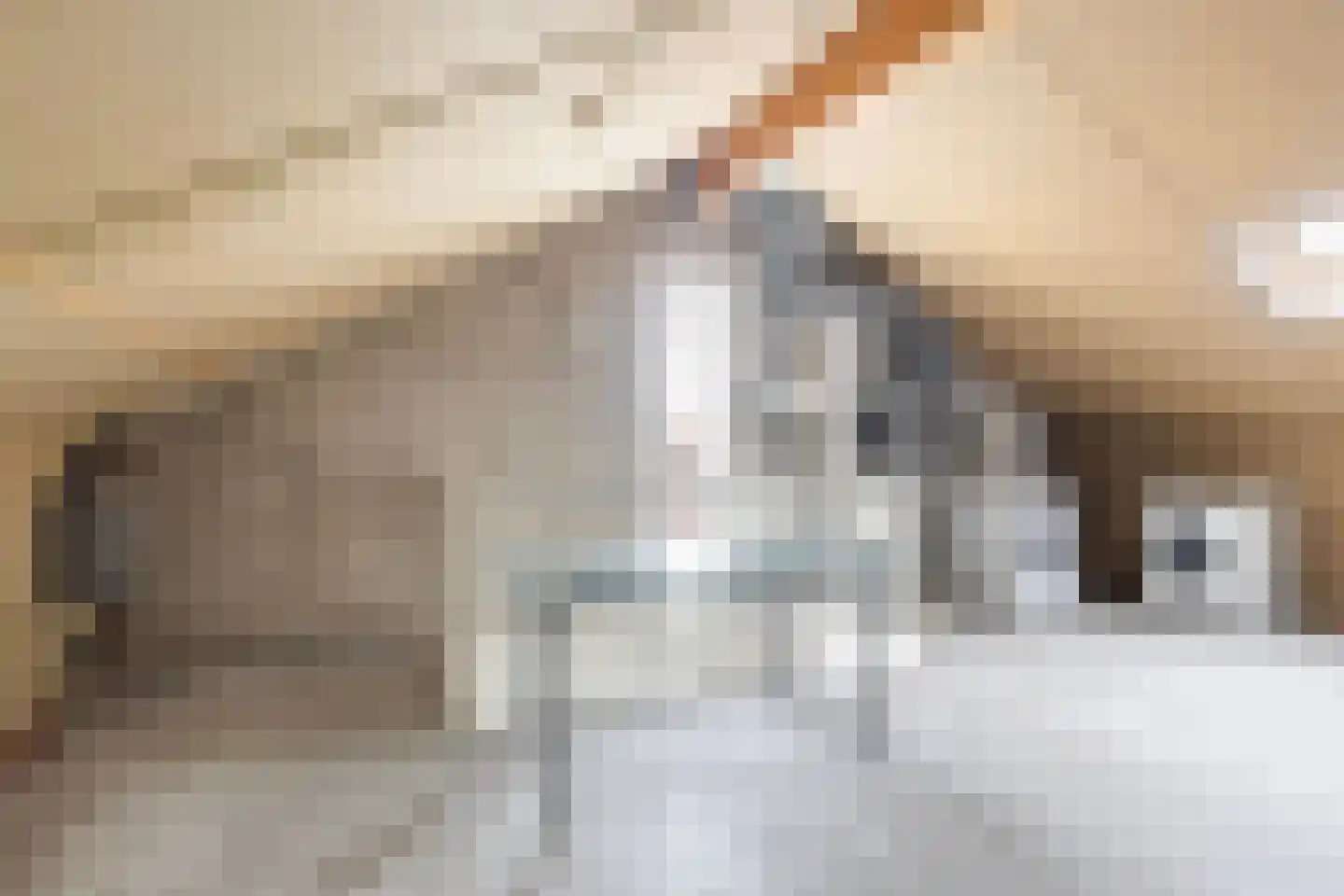 Ytsjesân 19 Leeuwarden thumbnail 38