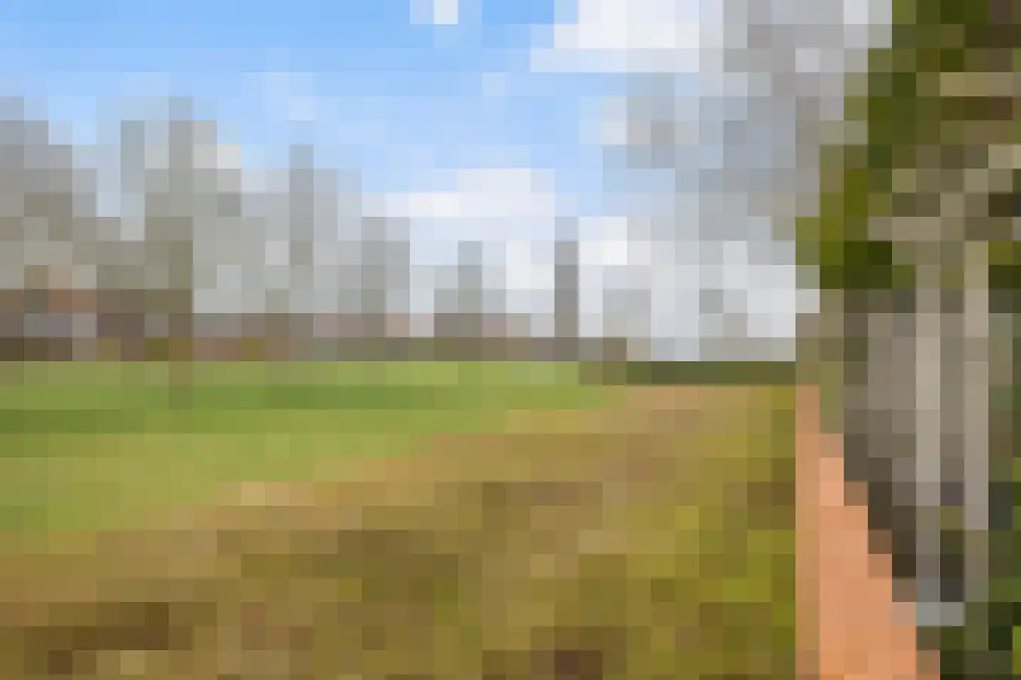 Ytsjesân 19 Leeuwarden thumbnail 45