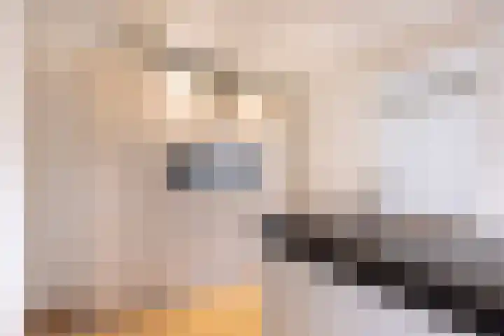 Ytsjesân 24 Leeuwarden thumbnail 23