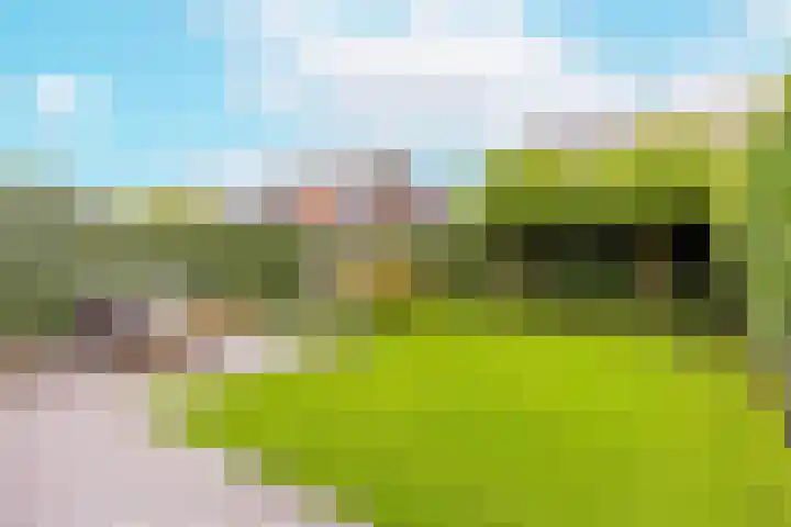 Ytsjesân 24 Leeuwarden thumbnail 5