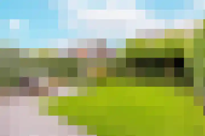 Ytsjesân 24 Leeuwarden thumbnail 52