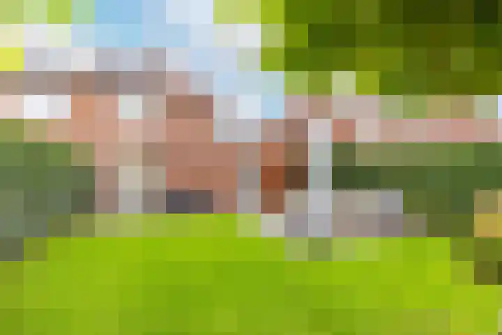 Ytsjesân 24 Leeuwarden thumbnail 55