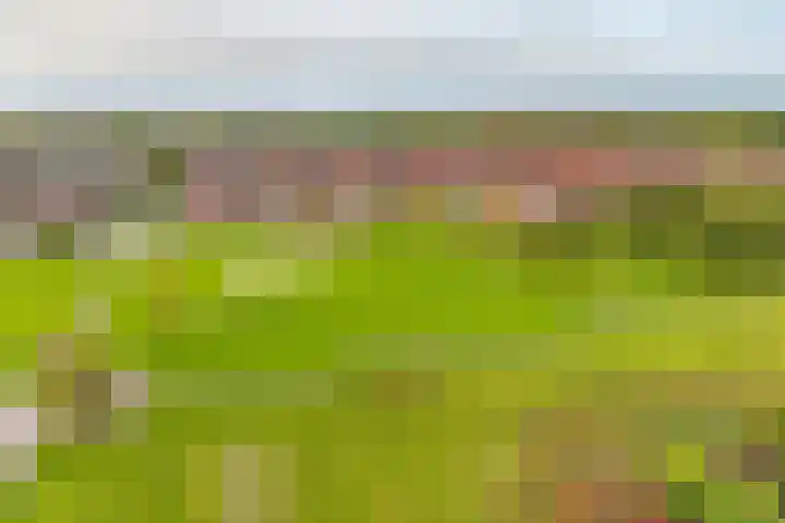 Ytsjesân 24 Leeuwarden thumbnail 57
