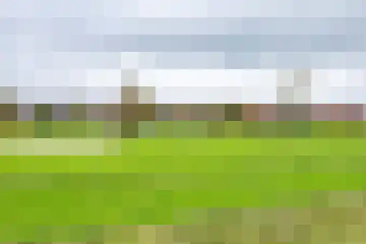 Ytsjesân 24 Leeuwarden thumbnail 58