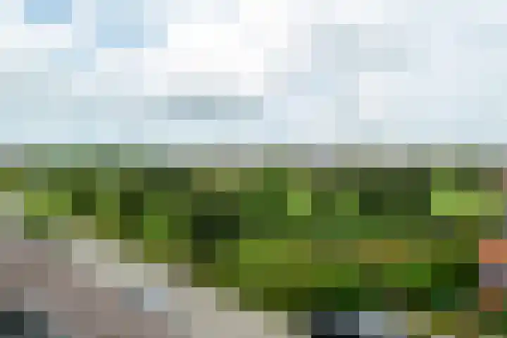 Ytsjesân 56 Leeuwarden thumbnail 30