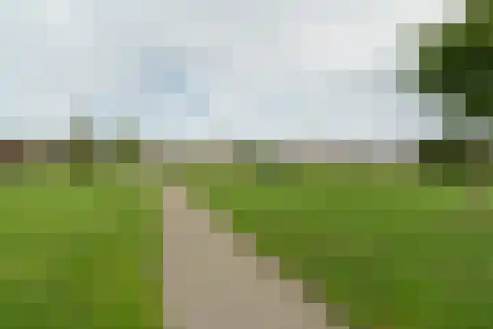 Ytsjesân 56 Leeuwarden thumbnail 42