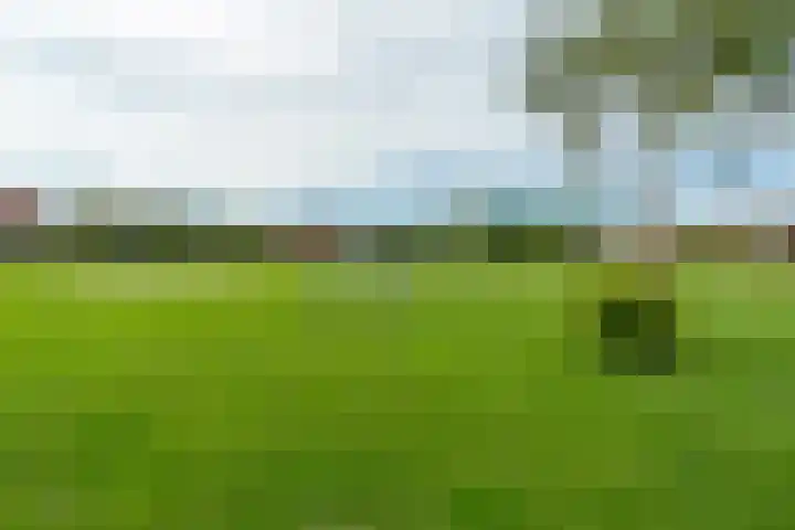 Ytsjesân 56 Leeuwarden thumbnail 43
