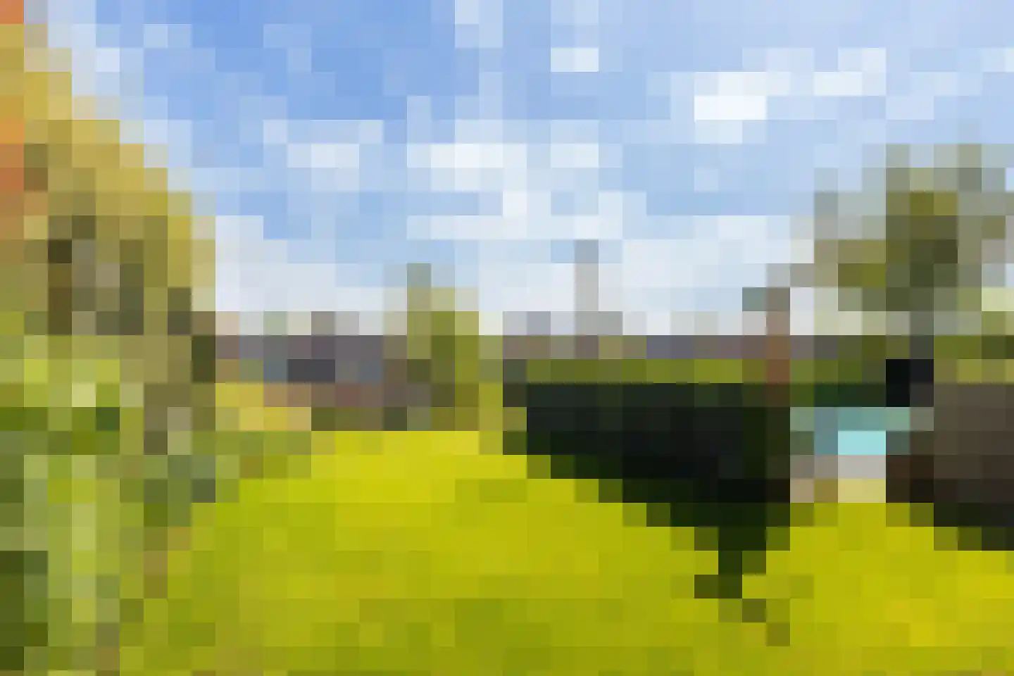 Ytsjesân 65 Leeuwarden thumbnail 31