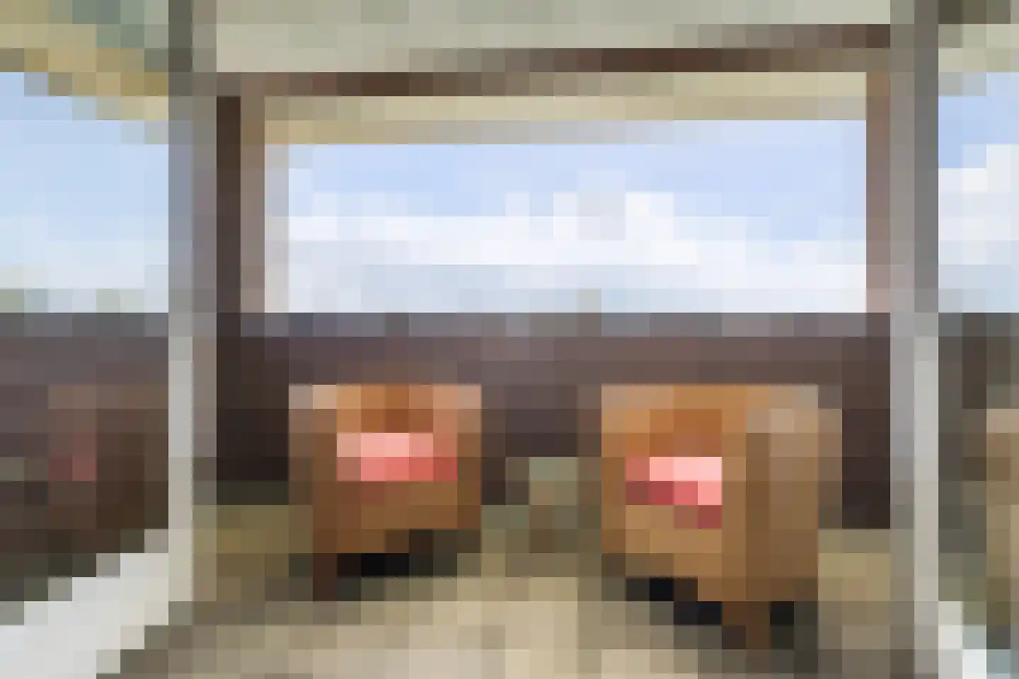 Ytsjesân 65 Leeuwarden thumbnail 43