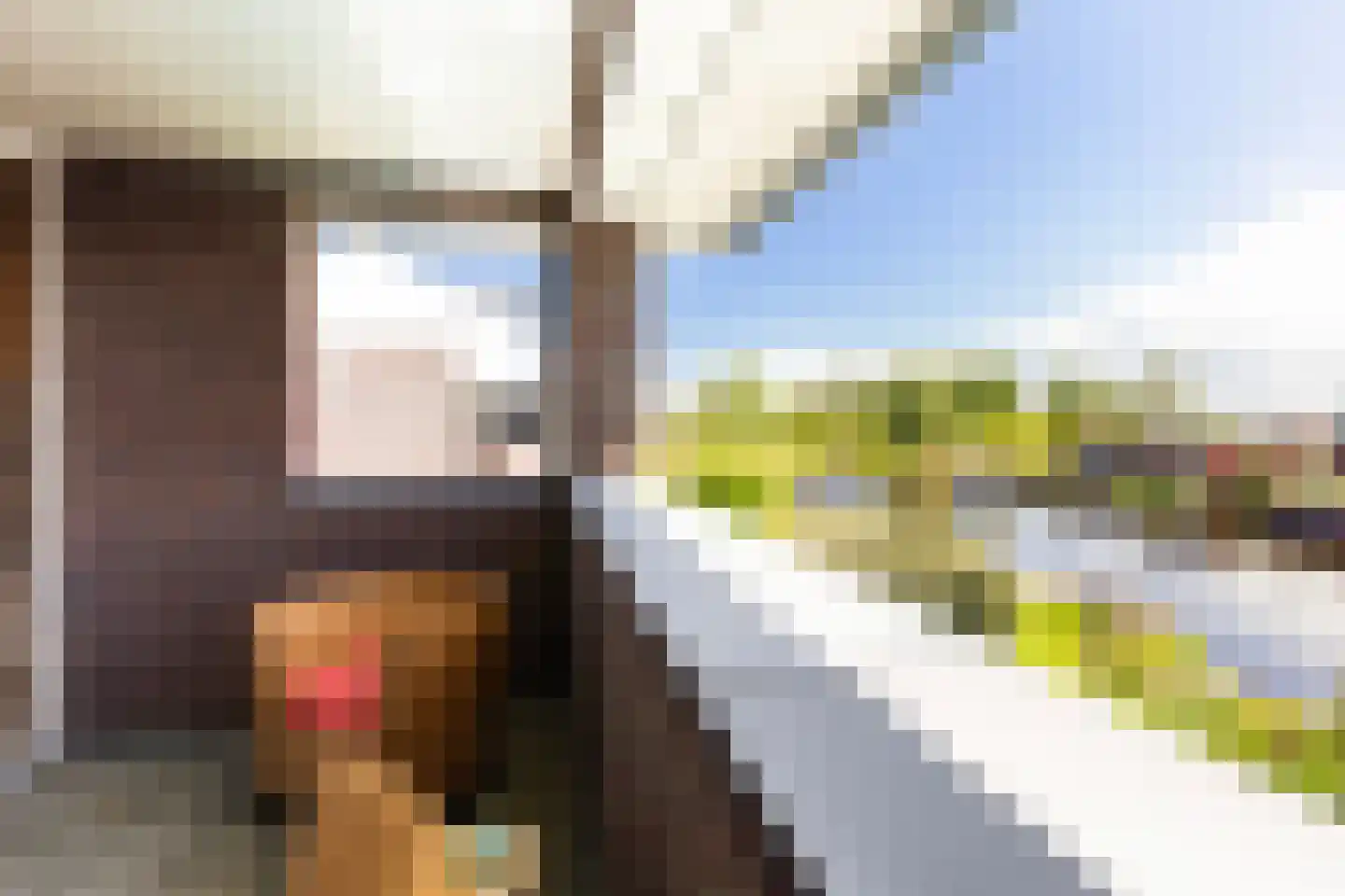 Ytsjesân 65 Leeuwarden thumbnail 44