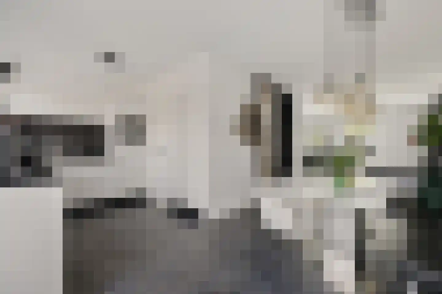 Ytsjesân 86 Leeuwarden thumbnail 12