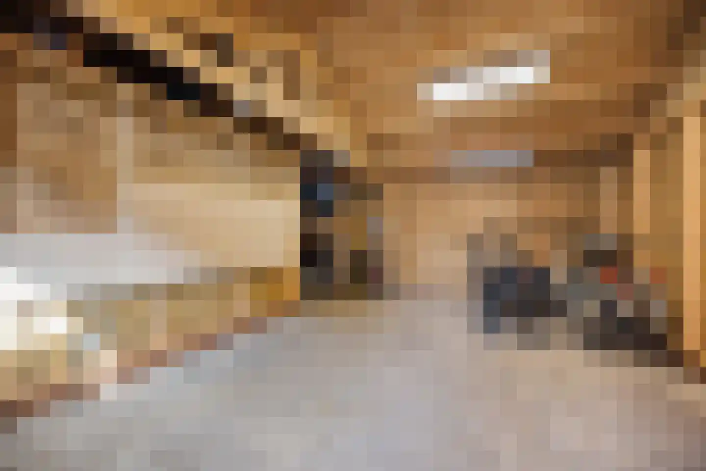 Ytsjesân 86 Leeuwarden thumbnail 21