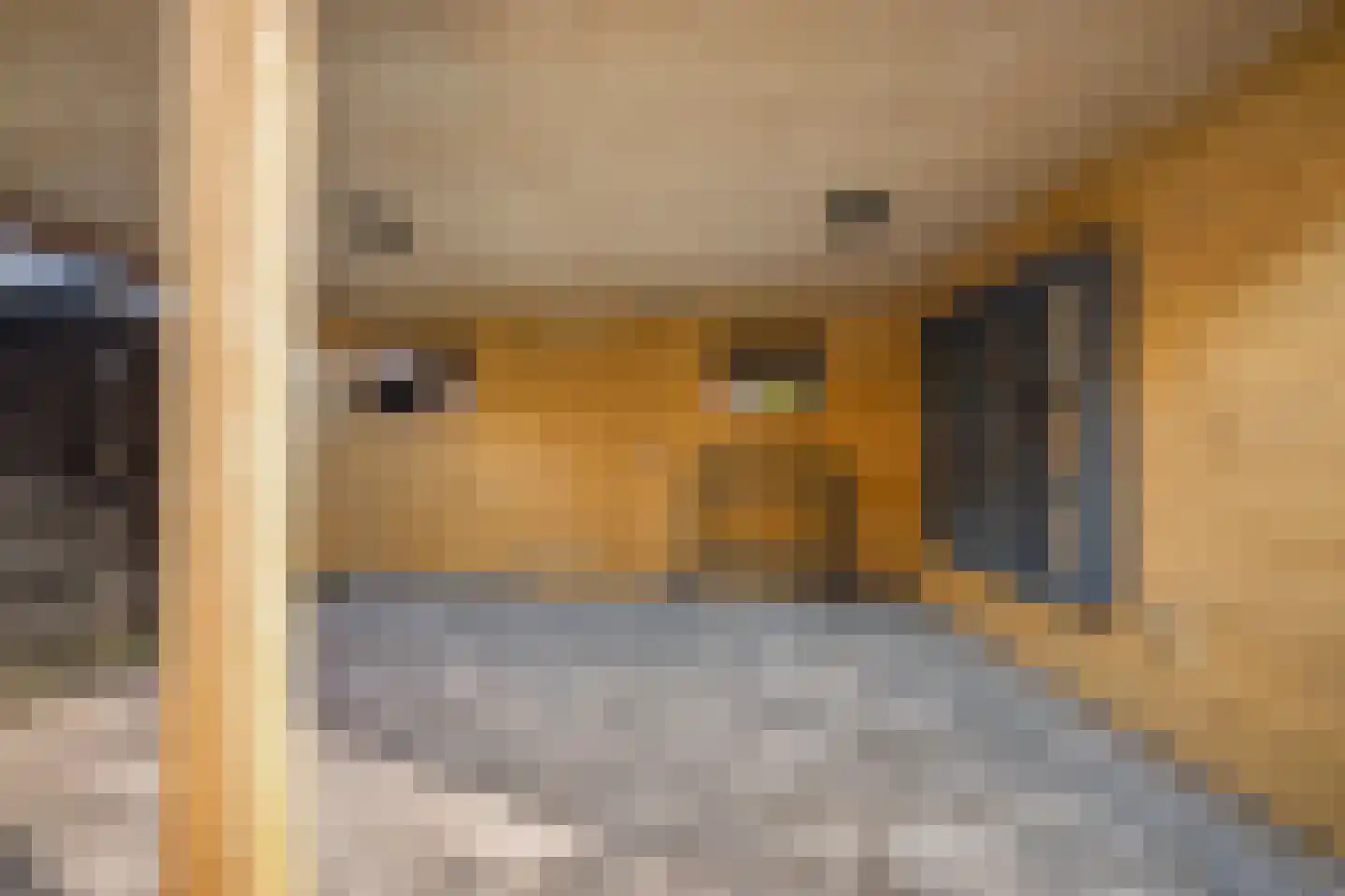 Ytsjesân 86 Leeuwarden thumbnail 23
