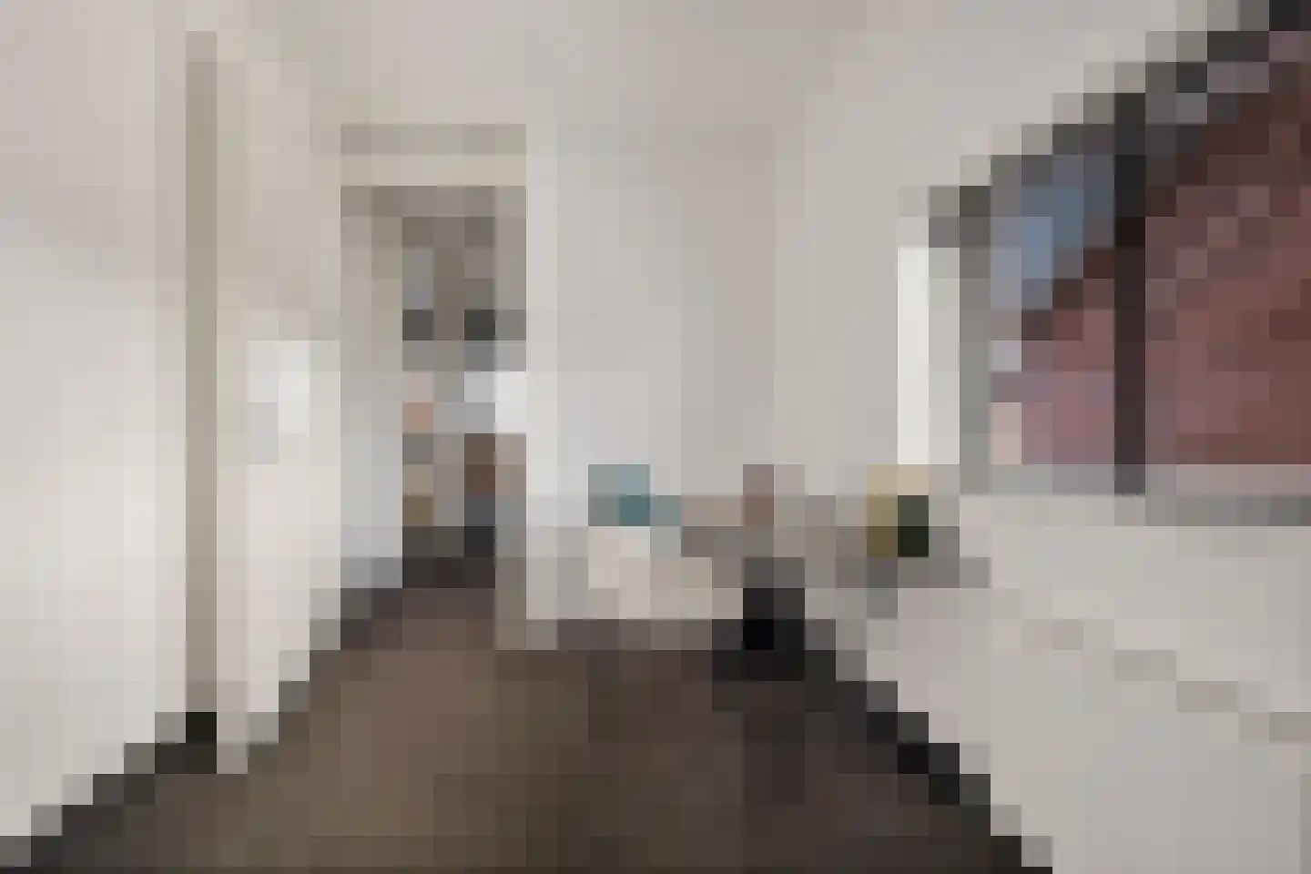 Ytsjesân 86 Leeuwarden thumbnail 25