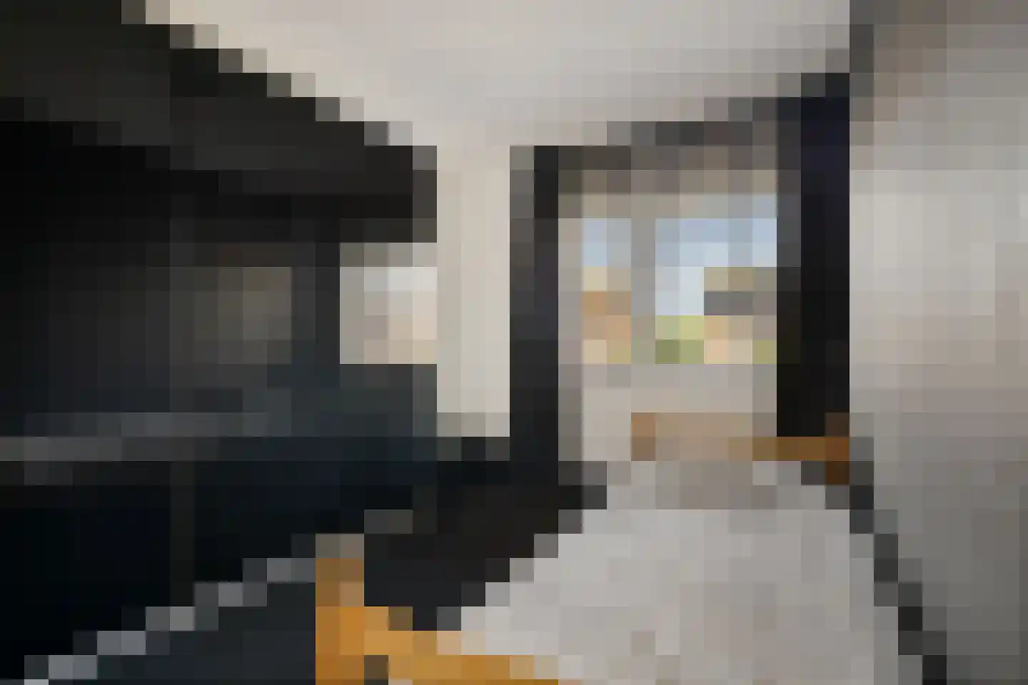 Ytsjesân 86 Leeuwarden thumbnail 29