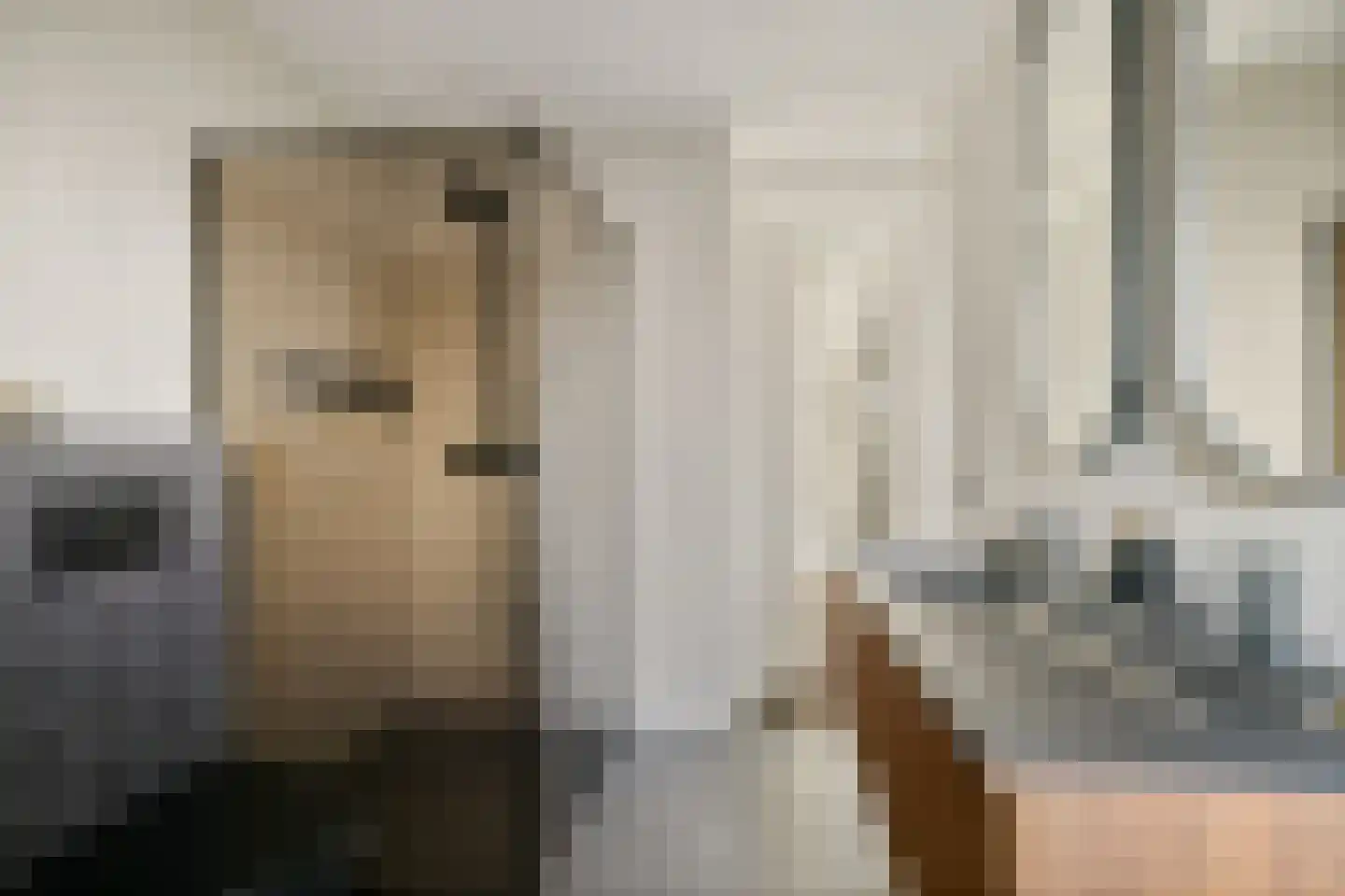 Ytsjesân 86 Leeuwarden thumbnail 31