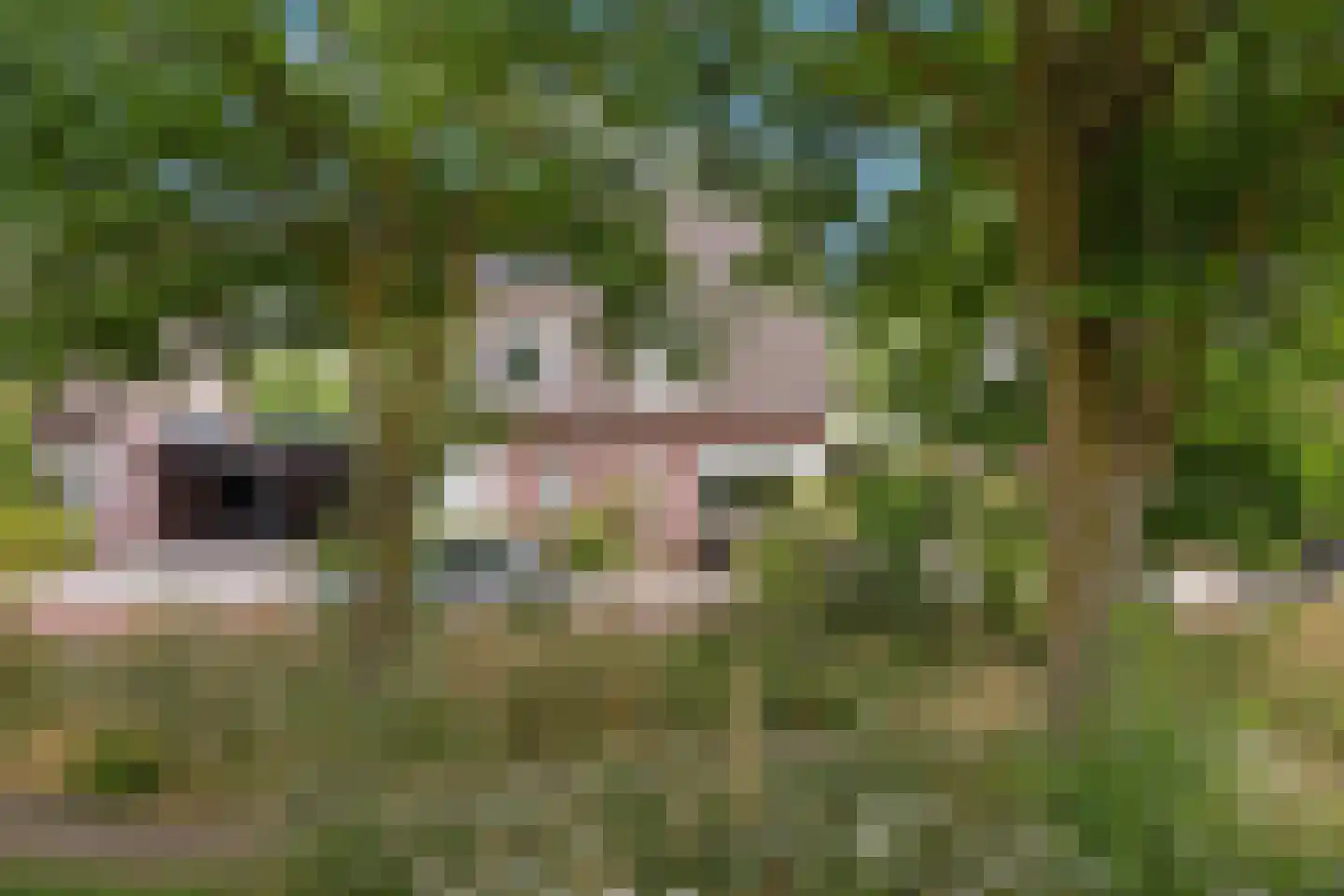 Ywehof 37 IJhorst thumbnail 32
