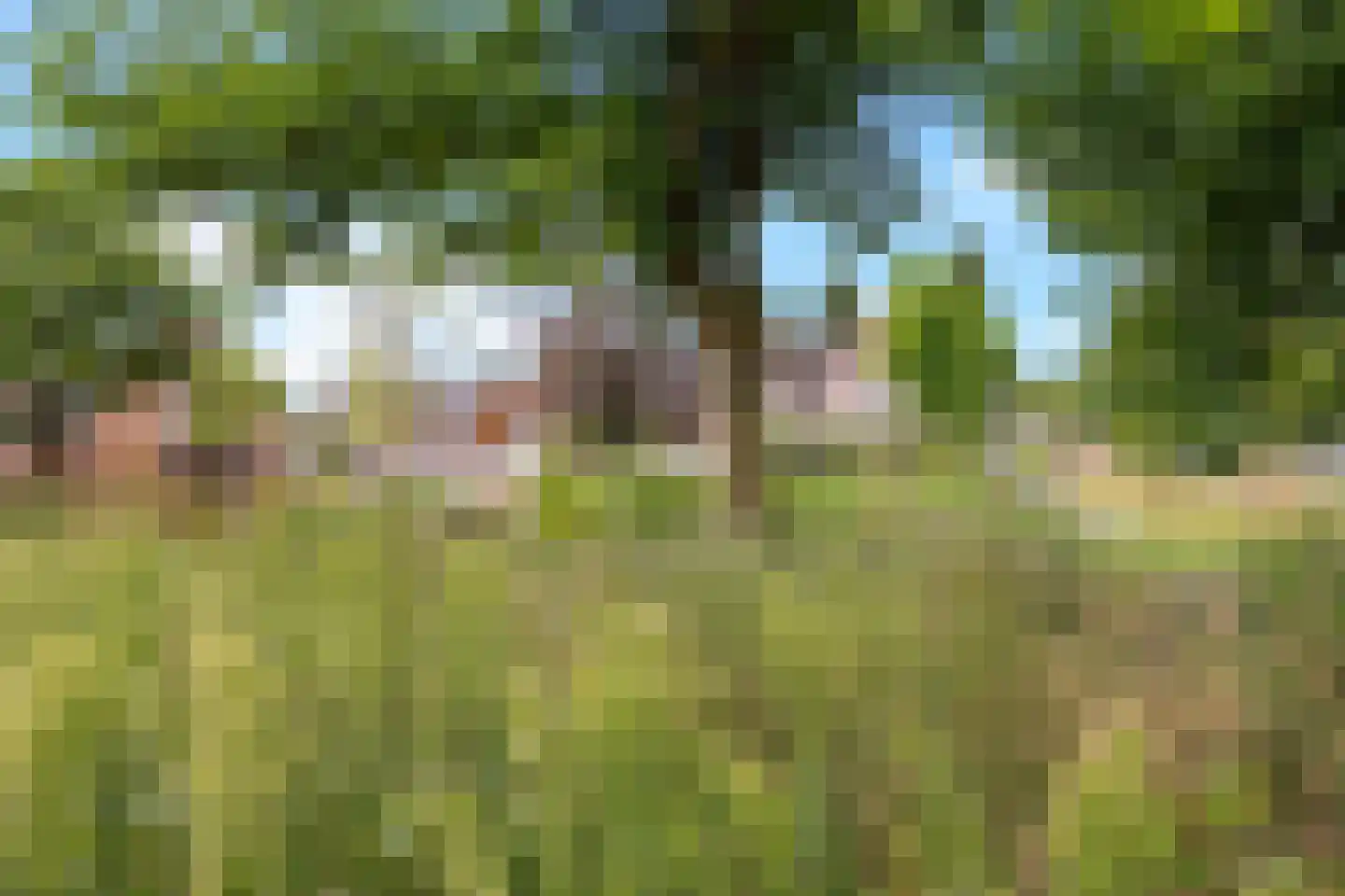 Ywehof 37 IJhorst thumbnail 33
