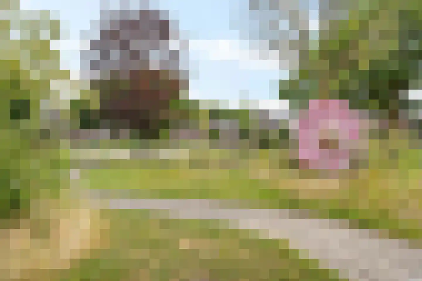 Ywehof 37 IJhorst thumbnail 34