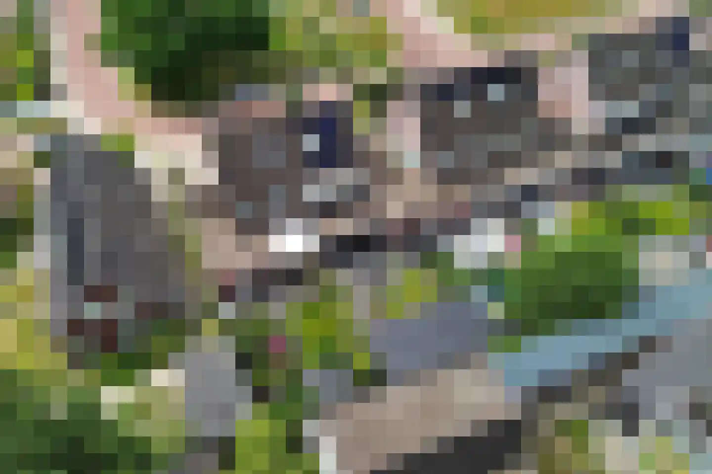 Ywehof 37 IJhorst thumbnail 35