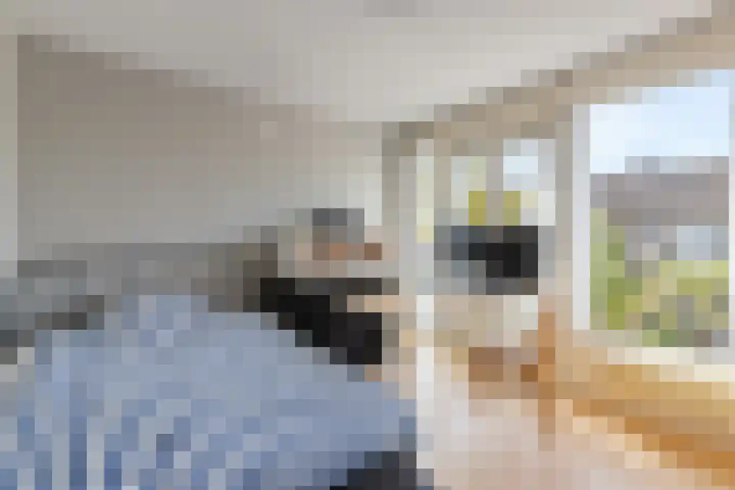 Zaadkorrel 34 Eemnes thumbnail 15