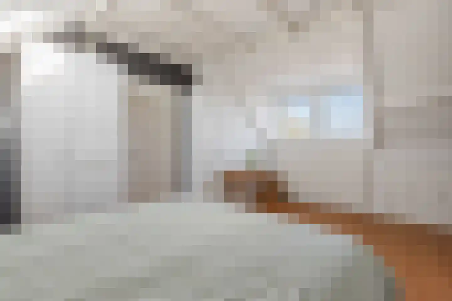 Zaadkorrel 34 Eemnes thumbnail 23