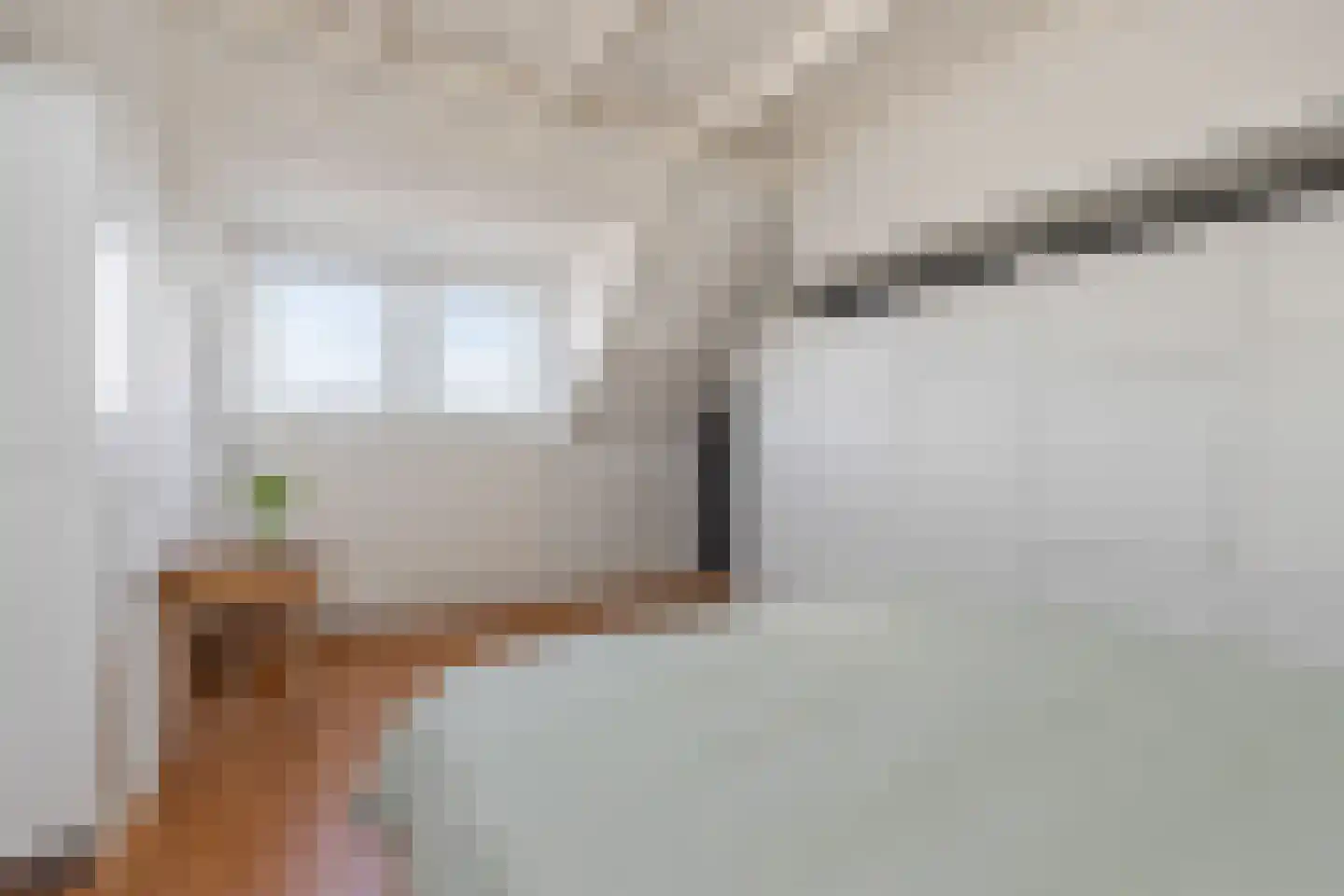 Zaadkorrel 34 Eemnes thumbnail 24