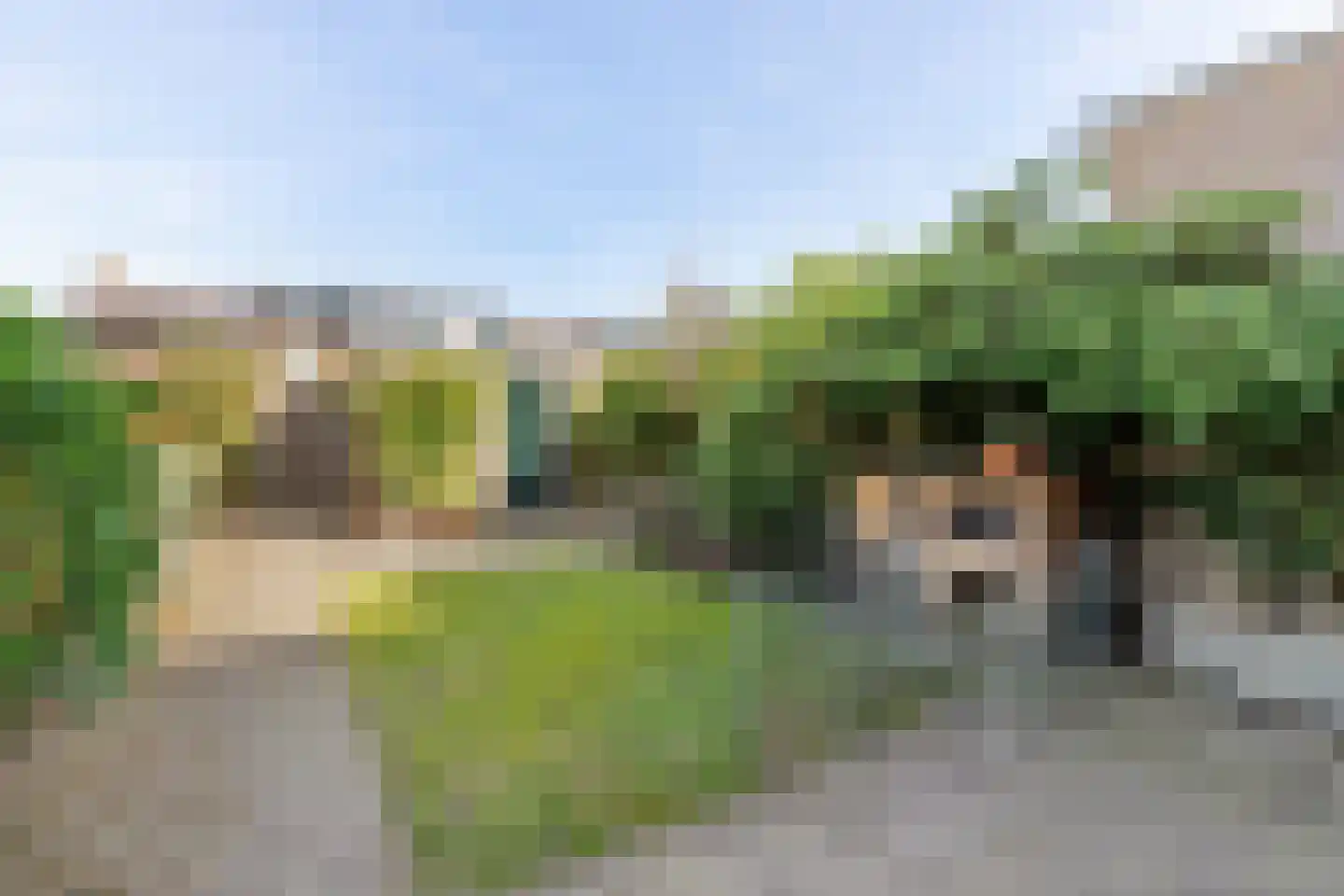 Zaadkorrel 34 Eemnes thumbnail 28