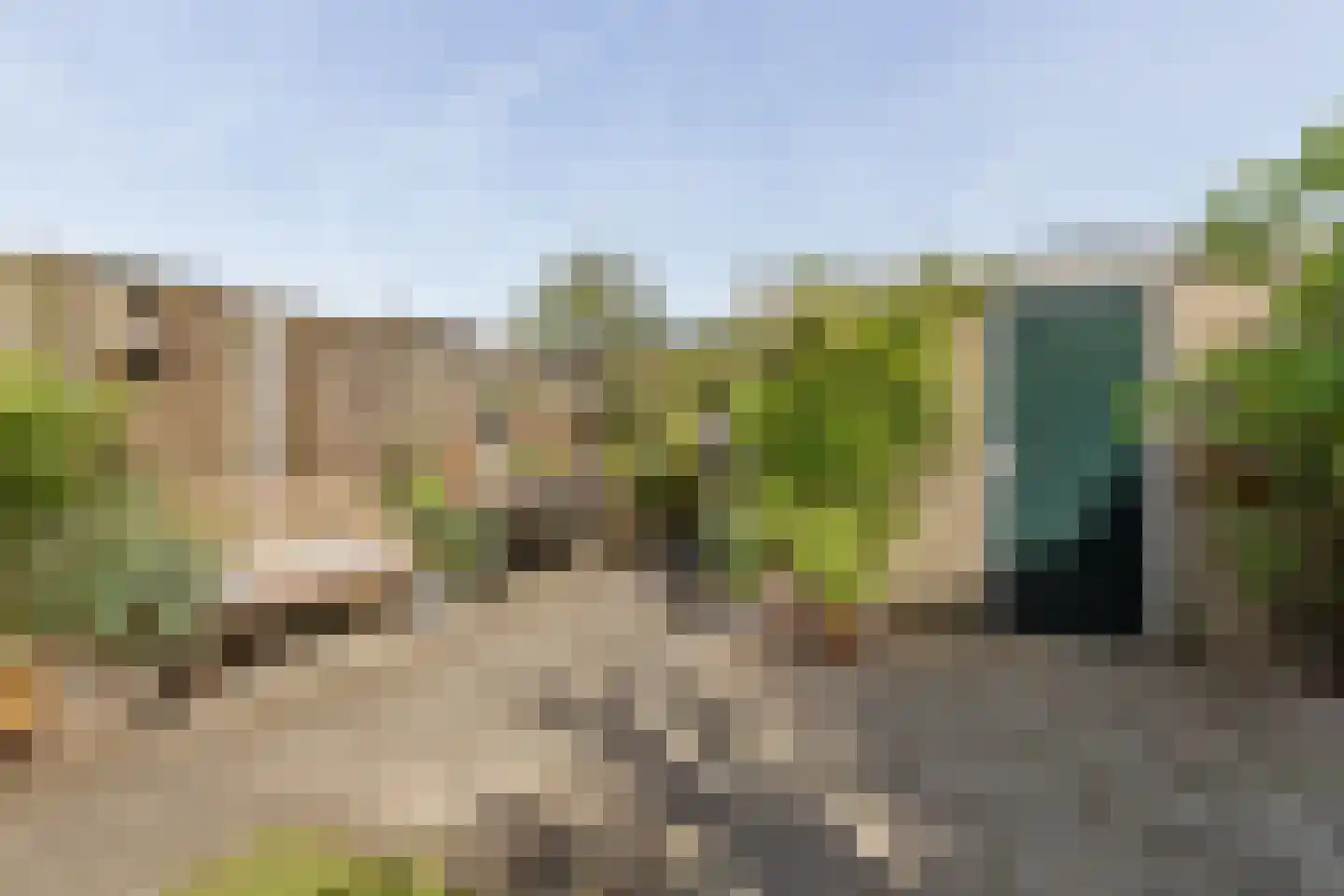 Zaadkorrel 34 Eemnes thumbnail 30