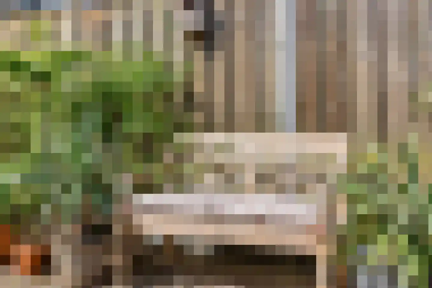 Zaadkorrel 34 Eemnes thumbnail 31