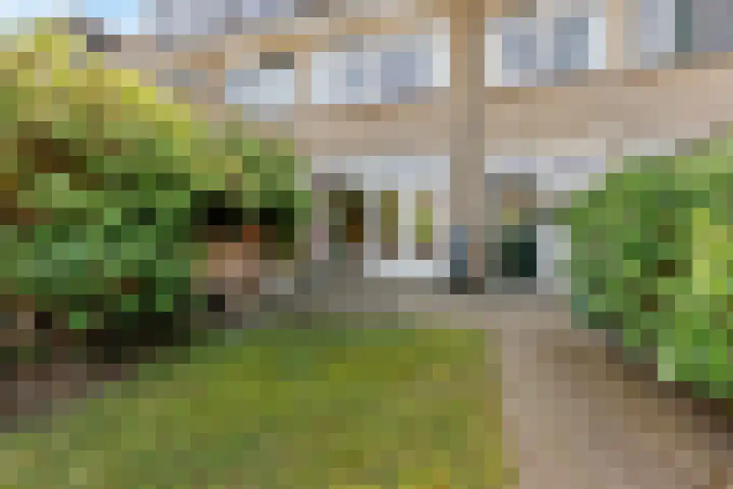 Zaadkorrel 34 Eemnes thumbnail 32