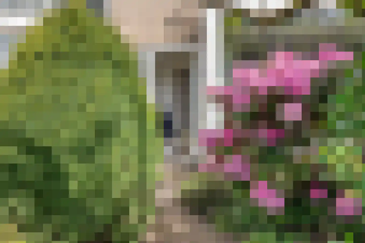 Zaadkorrel 34 Eemnes thumbnail 36