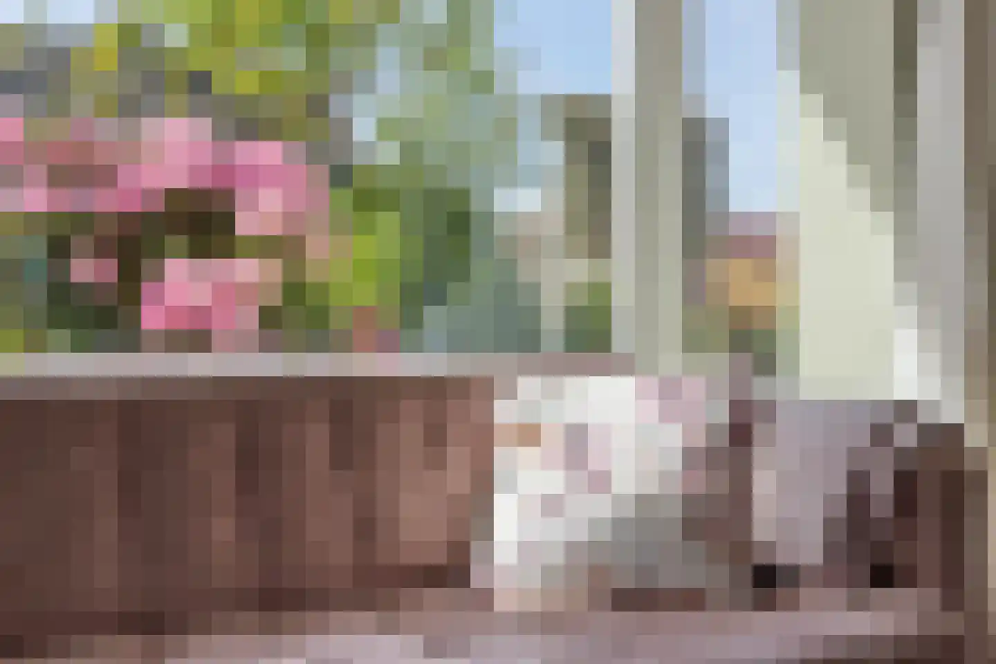 Zaadkorrel 34 Eemnes thumbnail 4