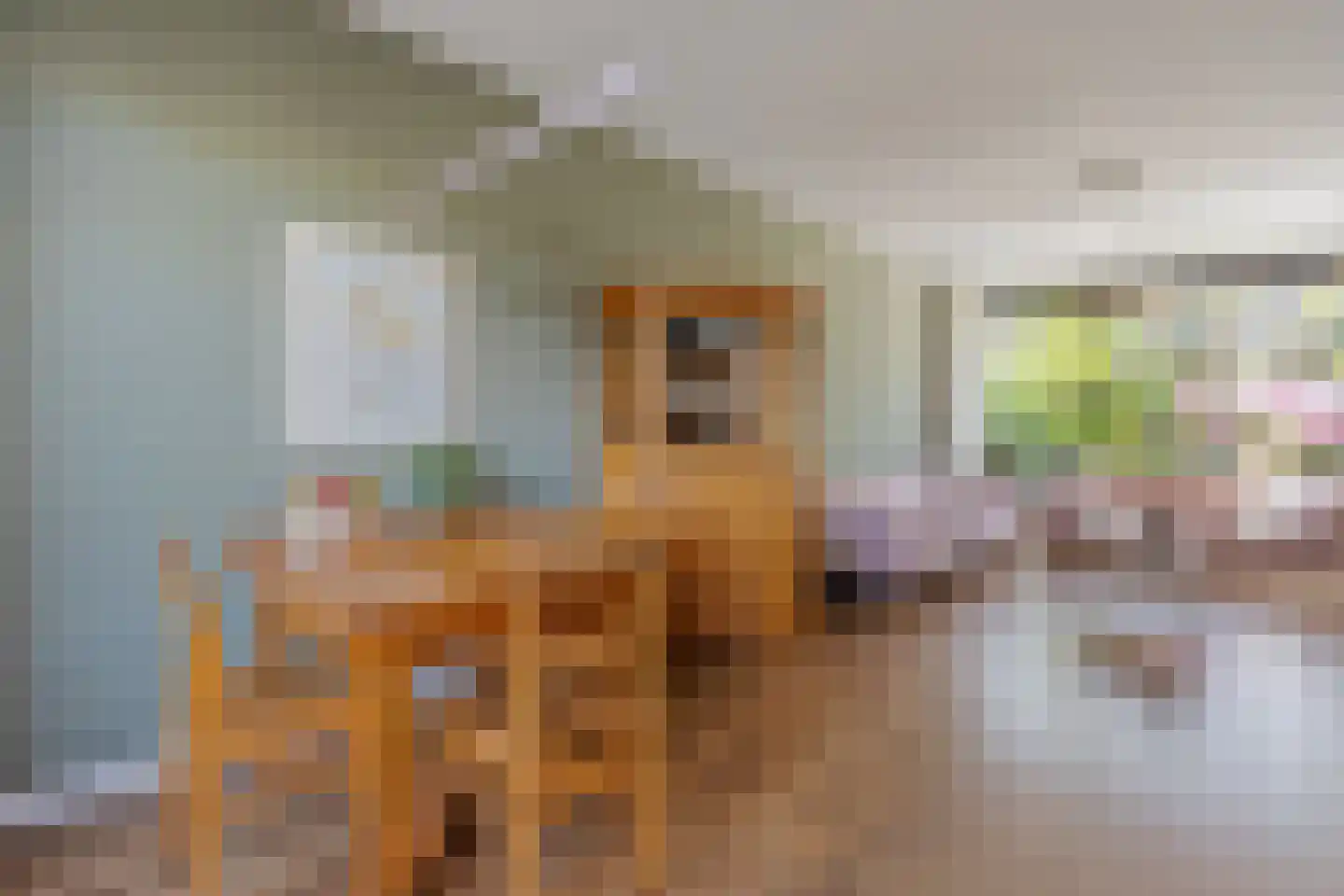 Zaadkorrel 34 Eemnes thumbnail 6
