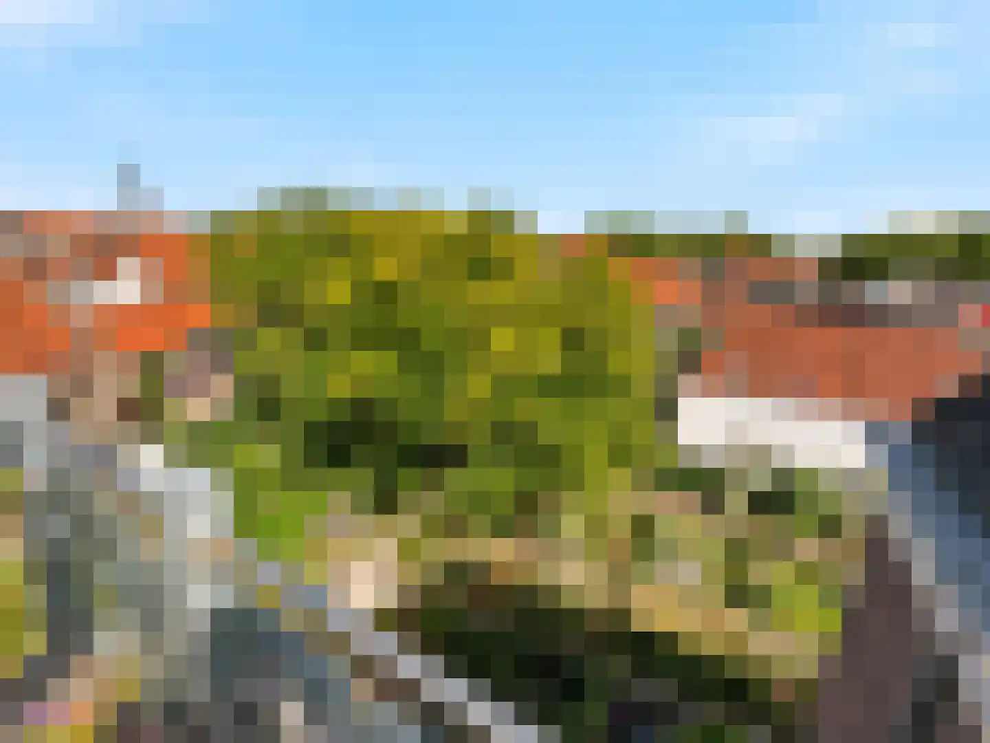 Zaadmarkt 91 h Zutphen thumbnail 34
