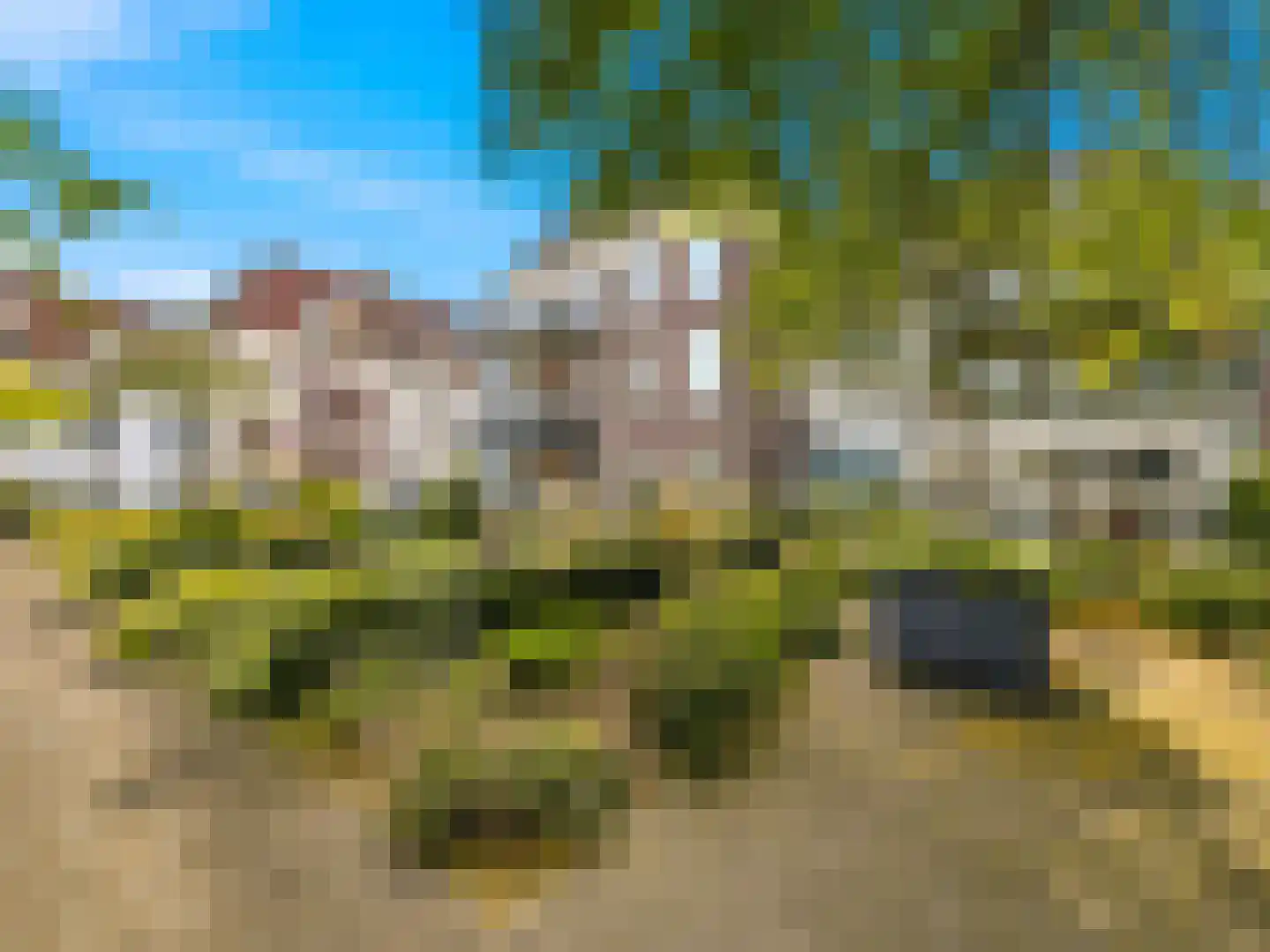 Zaadmarkt 91 h Zutphen thumbnail 38
