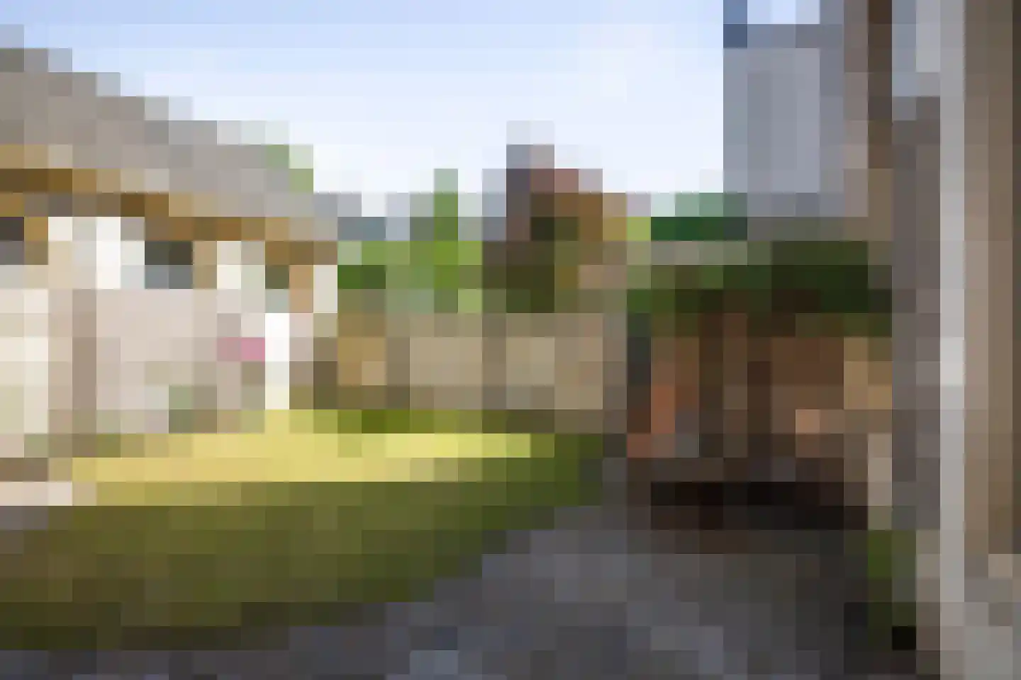 Zaadmarkt 93 Zutphen thumbnail 47