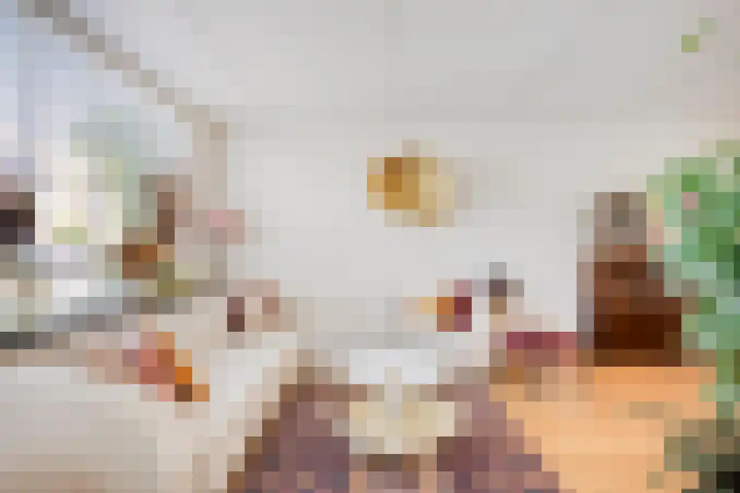 Zaagbek 7 Heinkenszand thumbnail 11