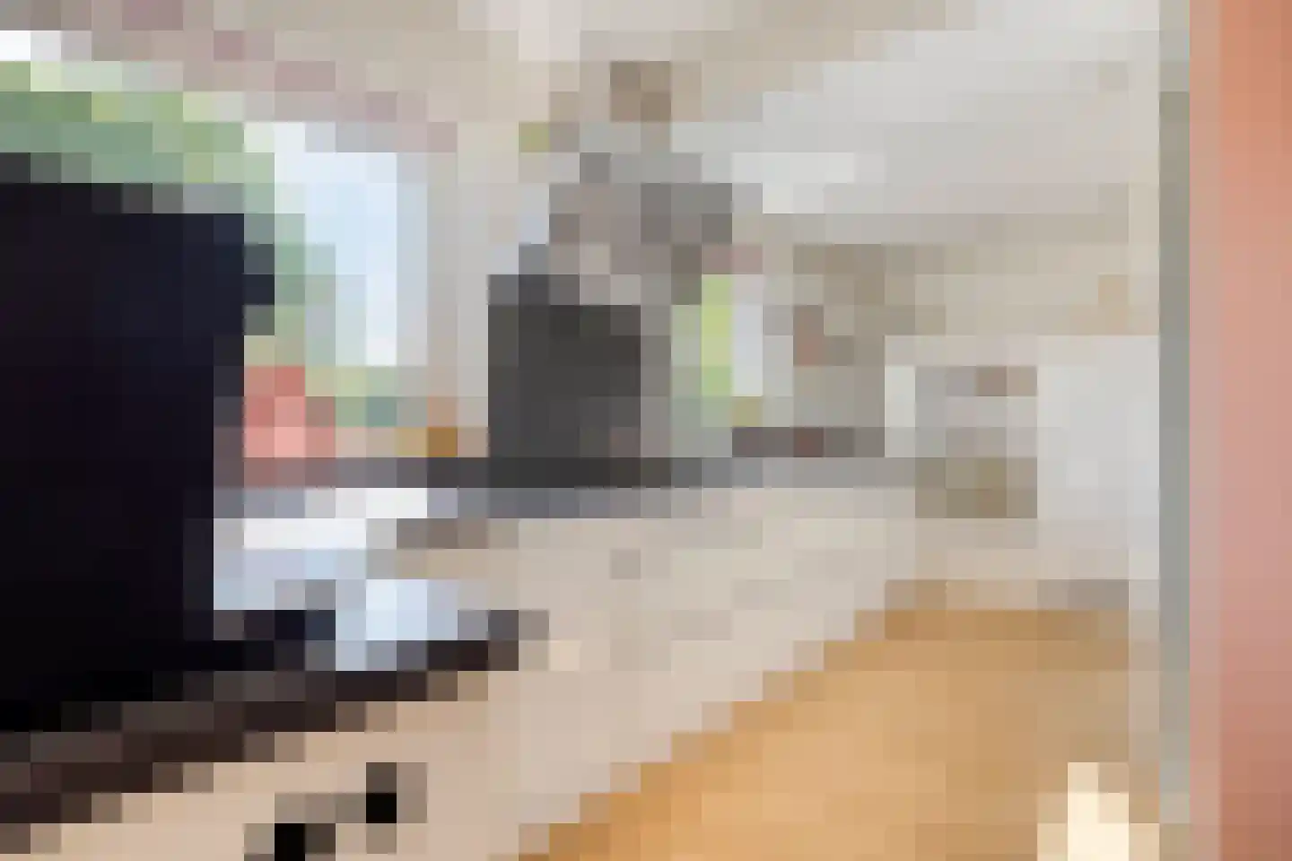 Zaagbek 7 Heinkenszand thumbnail 19