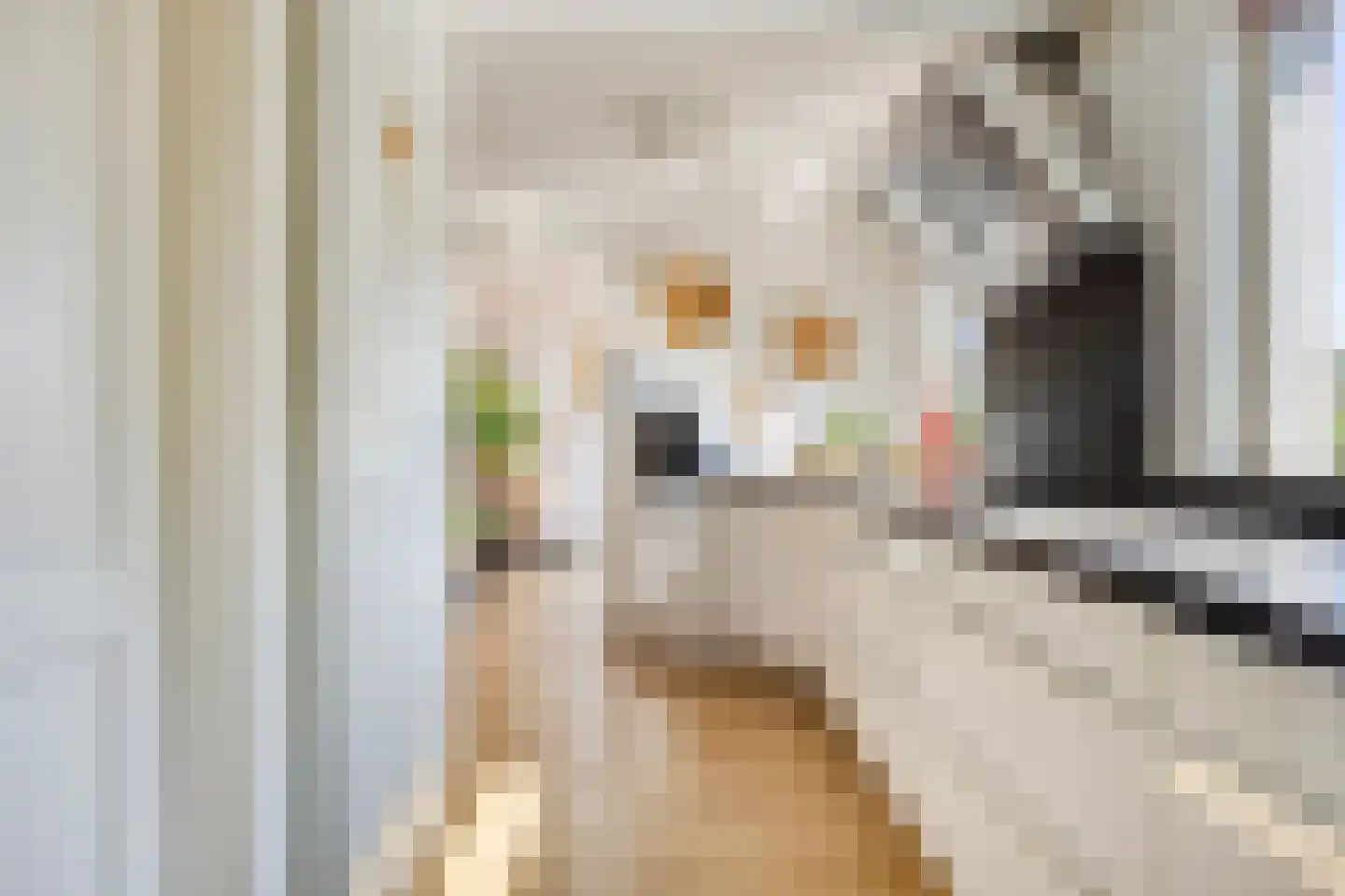 Zaagbek 7 Heinkenszand thumbnail 20