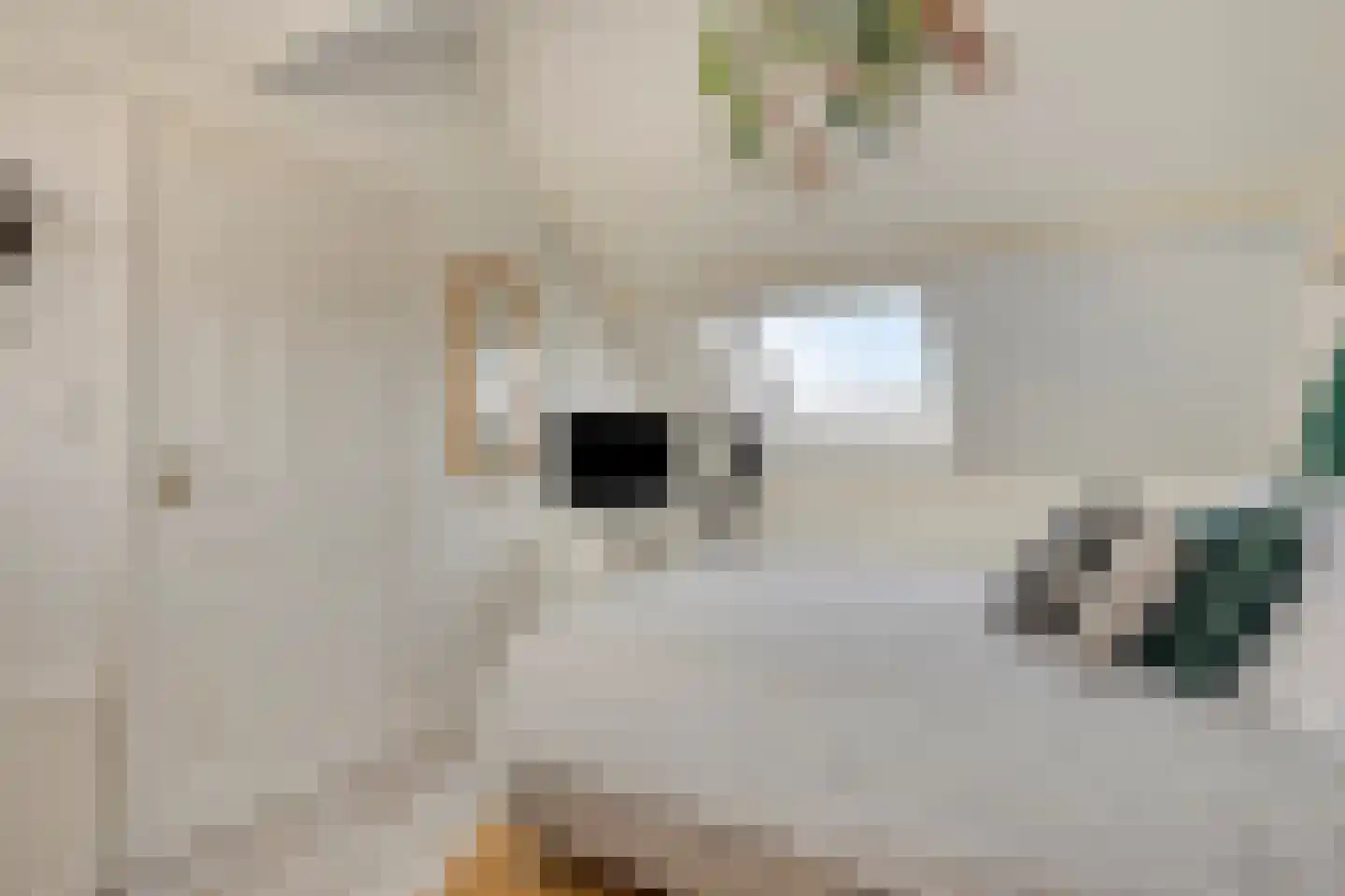 Zaagbek 7 Heinkenszand thumbnail 30