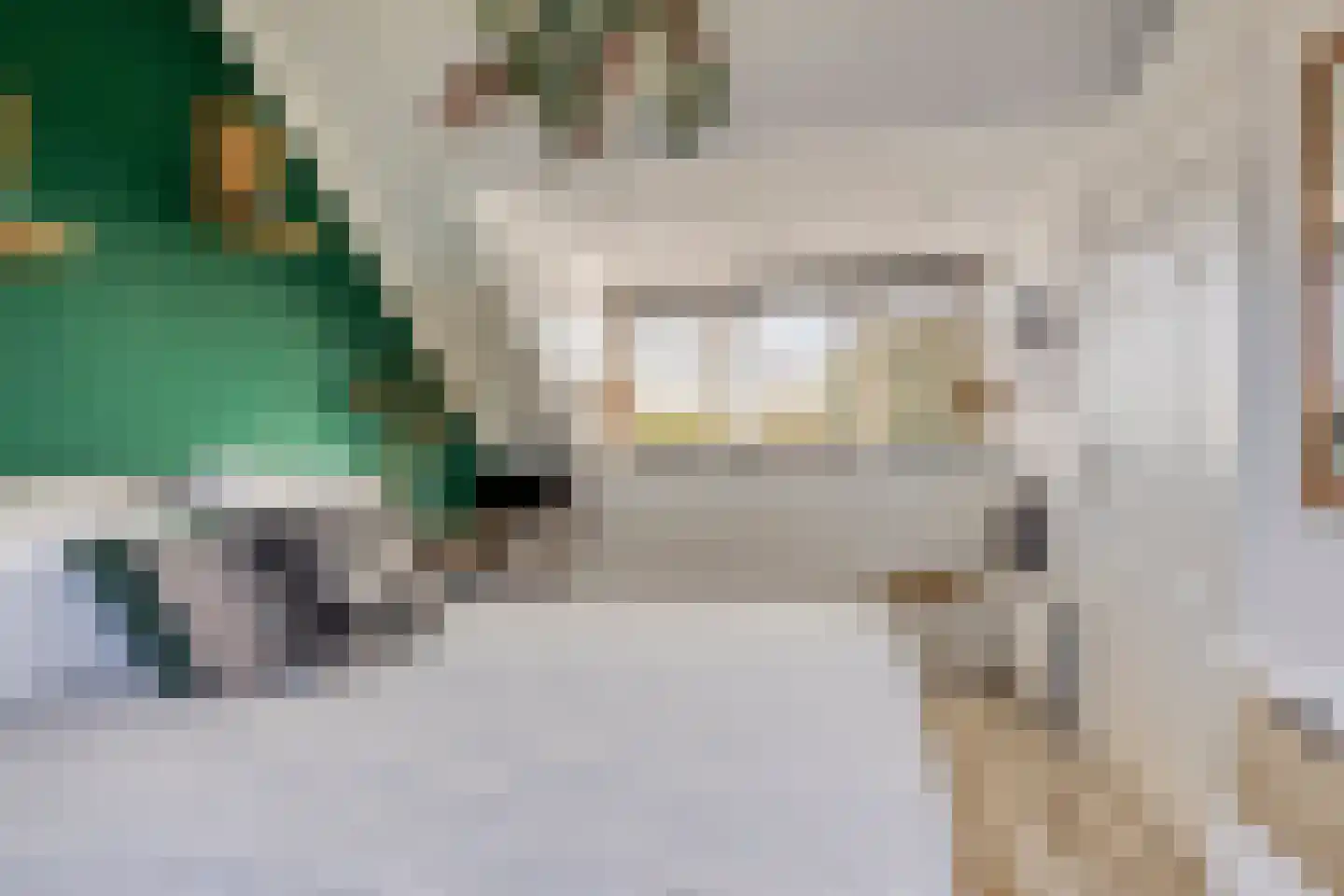 Zaagbek 7 Heinkenszand thumbnail 31
