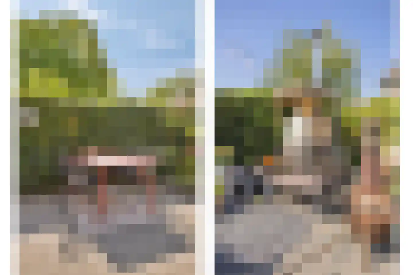 Zaagbek 7 Heinkenszand thumbnail 35