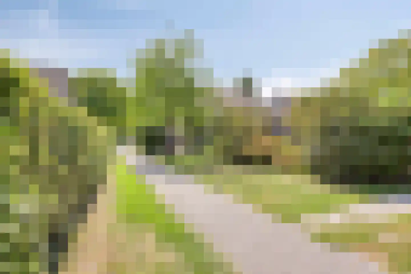 Zaagbek 7 Heinkenszand thumbnail 38