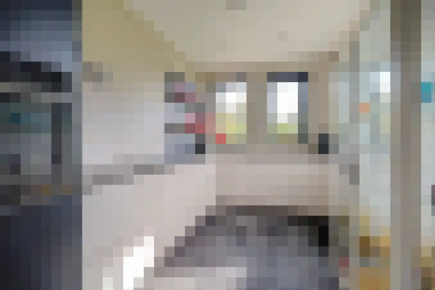 Zaagblad 11 Brummen thumbnail 13