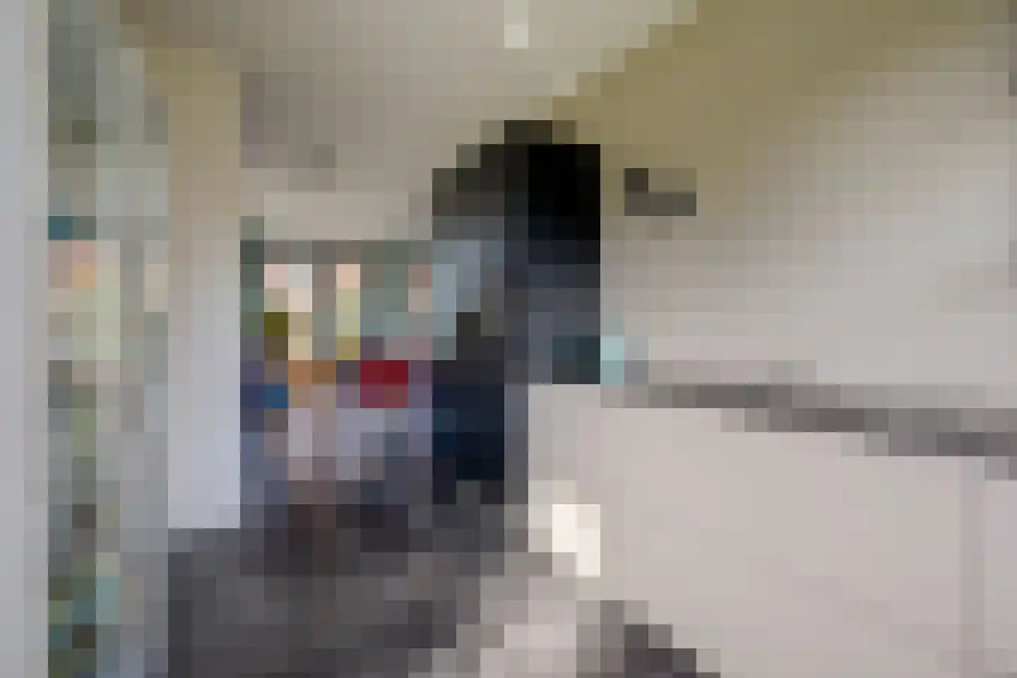 Zaagblad 11 Brummen thumbnail 14