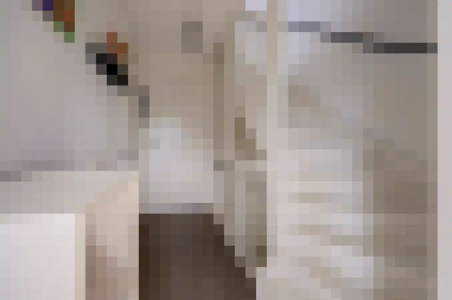 Zaagblad 11 Brummen thumbnail 17