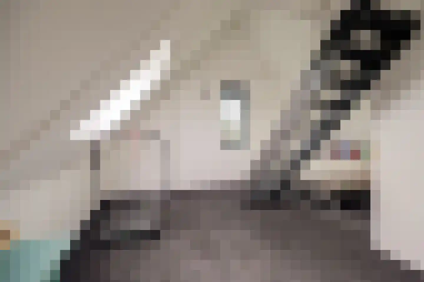 Zaagblad 11 Brummen thumbnail 23