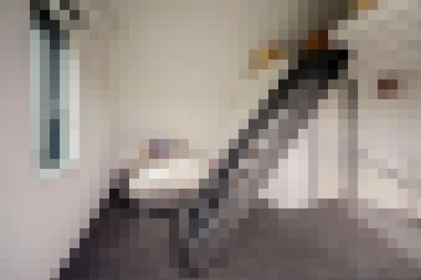 Zaagblad 11 Brummen thumbnail 24